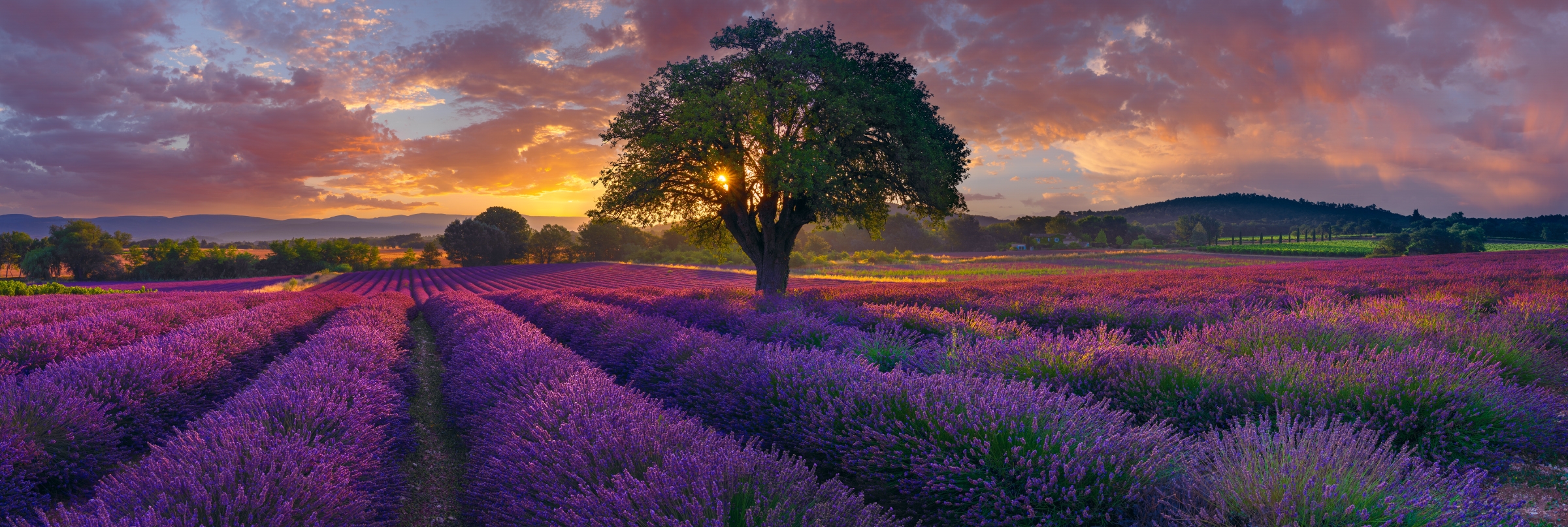 A Morning In France by Peter Lik
