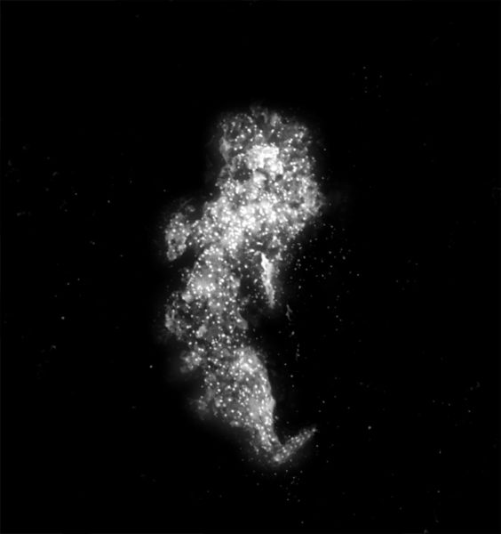 Galaxy Seahorse – Yongjie Li